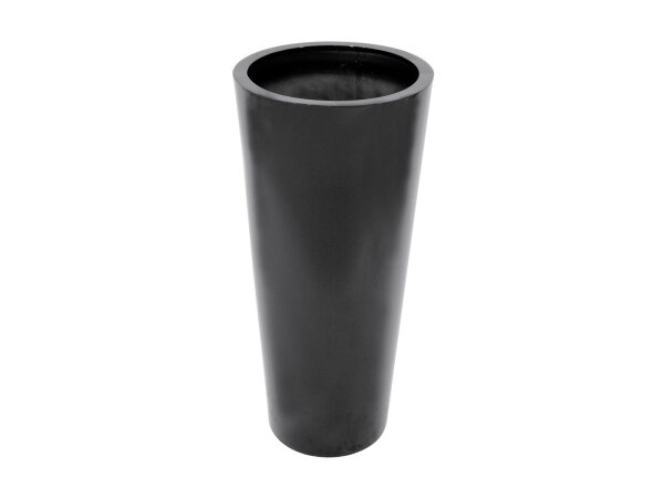 EUROPALMS LEICHTSIN ELEGANCE-110, shiny-black