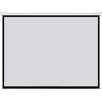 DMT Proscreen Electric Electric wall/ceiling beamer projection screen - 84" - 4:3