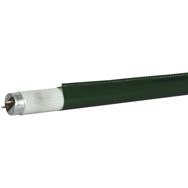 Showgear C-Tube T8 1200 mm 139C - Grün - Schnell einsetzbarer Farbfilter