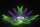 Showtec Phantom 130 Spot 130 W LED Spot Moving Head - white