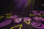 Showtec Shark Spot One Compact 60 W LED Spot Moving Head
