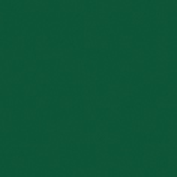 Showgear Handheld Confetti Cannon Pro 80 cm, dunkelgrün, feuerhemmend und biologisch abbaubar