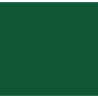 Showgear Handheld Confetti Cannon Pro 80 cm, dark green, flameproof and biodegradable