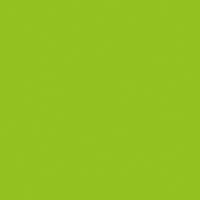 Showgear Handheld Confetti Cannon Pro 80 cm, light green,...