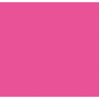 Showgear Handheld Confetti Cannon Pro 80 cm, pink, feuerhemmend und biologisch abbaubar