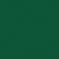 Showgear Electric Confetti Cannon 50 cm, dark green, flameproof and biodegradable