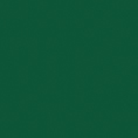 Showgear Electric Confetti Cannon Pro 80 cm, dunkelgrün, feuerhemmend und biologisch abbaubar