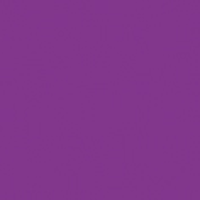 Showgear Electric Confetti Cannon Pro 80 cm, purple, flameproof and biodegradeable