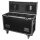 Showtec Case for 2x Phantom 250 Spot Flight Case