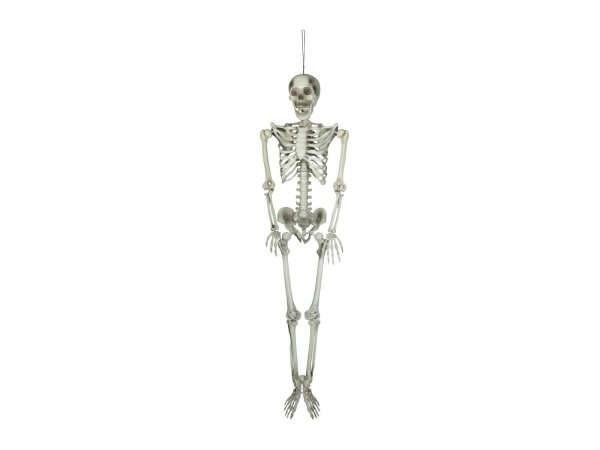 EUROPALMS Halloween Skeleton, 150 cm