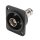 HICON BNC patch-female connector, ground isolated, Type D M3