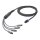 Sommer cable Speaker System , speakON® 8-polig, female/speakON® 2-polig SommerType, female; NEUTRIK® | 1,00m | 0,10m