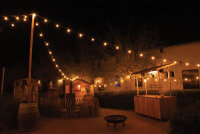 Showgear Festoon Light E27 100 cm spacing - black - 20 m