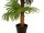 EUROPALMS Fan Palm, artificial plant, 130cm