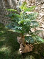 EUROPALMS Areca Palm, 2 trunks, artificial plant, 120cm