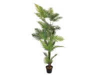 EUROPALMS Areca Palme, Kunstpflanze, 180cm