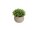 EUROPALMS Table plants in pots, artificial plant, Set of 3