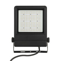 Showtec Cedda 100W LED Floodlight Hellweißer LED-Fluter mit 100 W