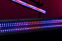 SHOWTEC Spectra Strobe 360x 1W white and 384x 0.5W RGB LED bar - IP65