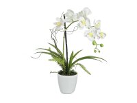 EUROPALMS Orchid Arrangement 1, artificial