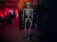 EUROPALMS Halloween Skeleton, standing, 150 cm