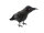 EUROPALMS Halloween Raven, 18cm