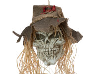 EUROPALMS Halloween Scarecrow Skull, 70cm
