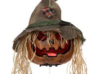 EUROPALMS Halloween Cursed Pumpkin Head, 70cm