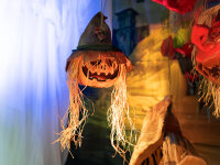 EUROPALMS Halloween Cursed Pumpkin Head, 70cm