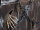 EUROPALMS Halloween Coffin of Horror, animated, 155cm