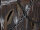 EUROPALMS Halloween Coffin of Horror, animated, 155cm