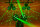 SHOWTEC FireBall PRO Dual Ball RGBW effect light Licht mit dualem RGBW-Discokugel-Effekt