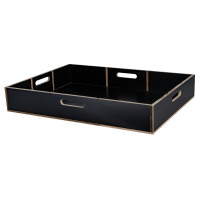 SHOWGEAR Multiflex Case Top Insert 2 74 cm breit