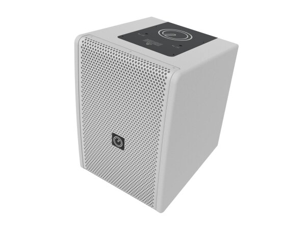 INTUSONIC 6FP100T 6.5" 2-way Fullrange Speaker white